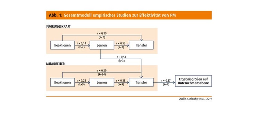 Gesamtmodell empirischer Studien zur Effektivität von PM