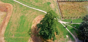 Was der Aufhebungsvertrag regeln sollte