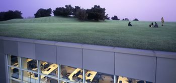 Gewerbeimmobilien Gebäude Dach Wiese begrünt