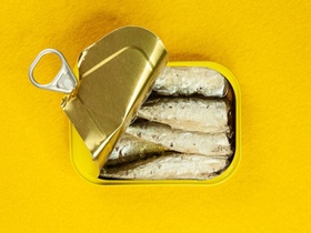 Gold Fisch Sardinen stinken Gestank