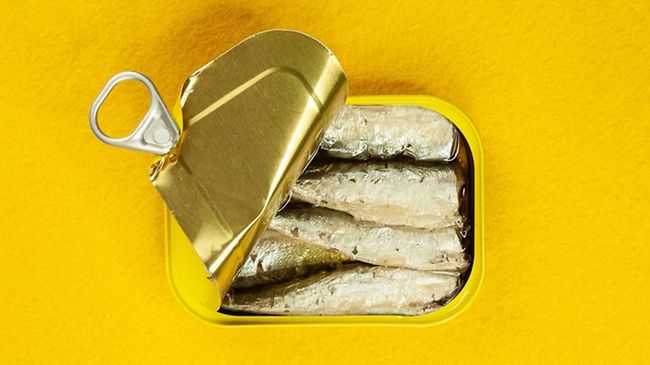 Gold Fisch Sardinen stinken Gestank