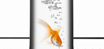 Goldfisch schwimmt in Flasche