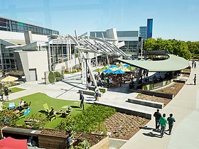 Googleplex Campus in Mountain View