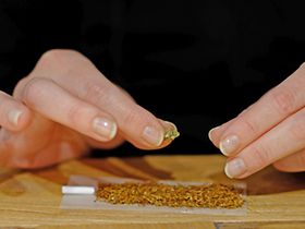 Gras wird in den Joint gebröselt