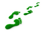 Green Footprint Nachhaltigkeit