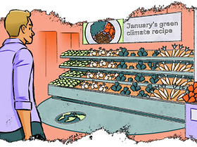 Green Nudges Handel Klimareise