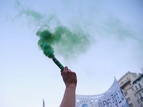 Greenwashing Protest