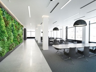 Großraumbüro Büro Green Building