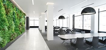 Großraumbüro Büro Green Building