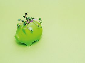 Grünes Sparschwein - Grüne Finanzierungen