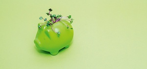 Finanzierungsinstrumente: Grünes Geld für grüne Projekte
