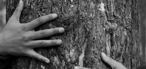 ESG-HR-Barometer: Studie zu HR und Sustainability