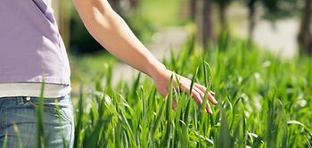 Hand im Garten