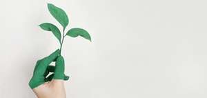 Tipps für nachhaltige und grüne Benefits für Mitarbeitende
