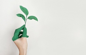 Hand Pflanze nachhaltig
