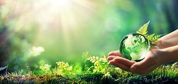 Hands Holding Globe Glass Green Forest Environment Concept
