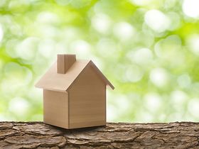 Haus Hausmodell Holz Holzhaus Grün