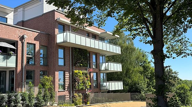 Haus Wobau Ostholstein mit begrünter Fassade