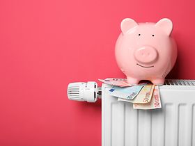 Heizkörper mit Sparschwein und Geld