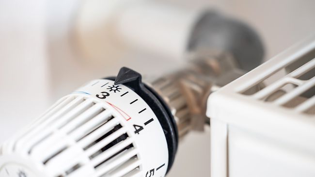 Heizung_Thermostat_Heizkoerper_Einstellung_Detail