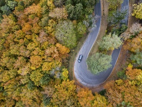 Extreme curve and fall trees from above