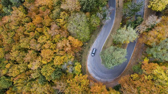 Herbst Kurve mit Auto