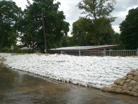 Hochwasser Cossebaude