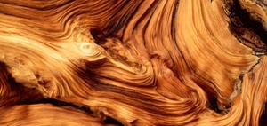 Nachhaltigkeit im Holzbau