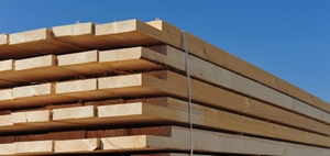 Holzbauinitiative der Bundesregierung: Zweifel und Hoffnung