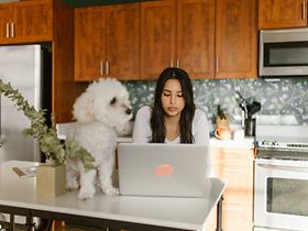 Homeoffice am Küchentisch mit Hund