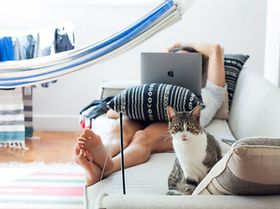 Homeoffice Sofa Work from anywhere Katze