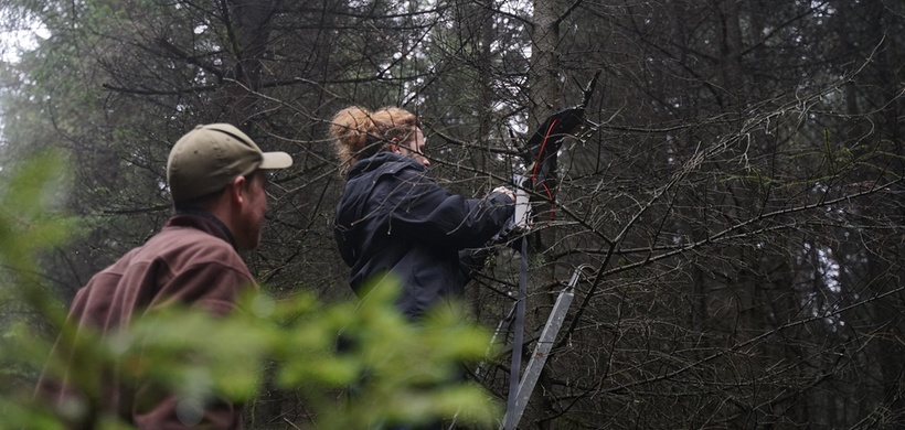 Hula: Mikrophone im Wald