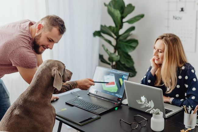 Nimm-Deinen-Hund-mit-zur-Arbeit-Tag: Dürfen Haustiere an den Arbeitsplatz?