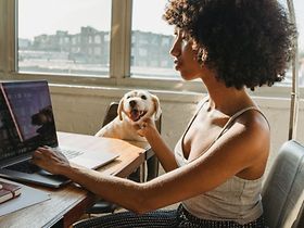 Hund Homeoffice Bürohund