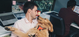 Tag des Bürohundes: Dürfen Haustiere an den Arbeitsplatz?