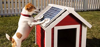 Hunde Solar Panels Haus
