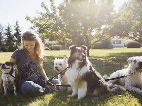 Hundesitter mit Hunden im Park