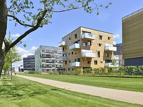 IBA Hamburg Wood Cube