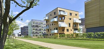 IBA Hamburg Wood Cube