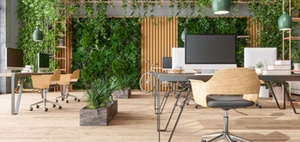 Green Building-Zertifikate: Beim Büroneubau immer öfter