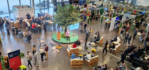 Impact Festival 2025