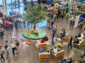 Impact Festival 2025