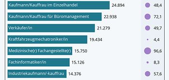 Infografik Ausbildungsberufe