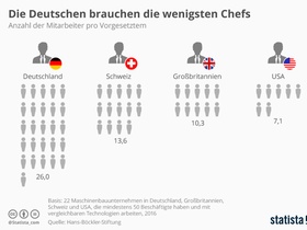 Infografik Führungsspannen