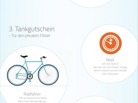 Infografik Kiwis fliegen