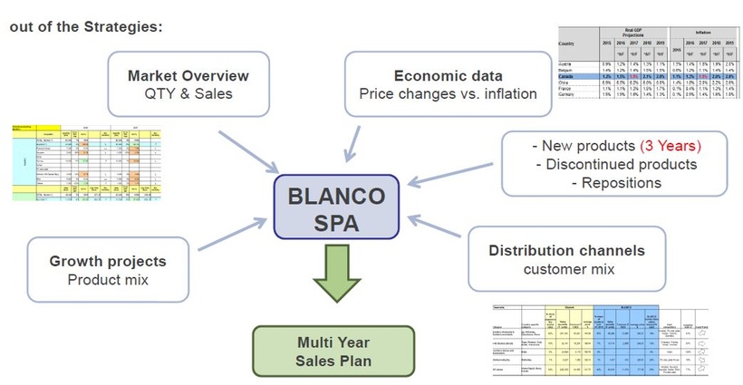 Abb. 1: Zusätzliche Informationsquellen für das Multi Year Sales Planning