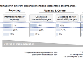 Integration of sustainability in different steering dimensions
