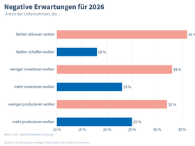 IW-Konjunkturumfrage 2025