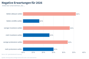 IW-Konjunkturumfrage 2025