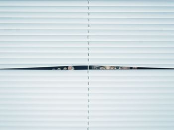 Jalousie Blinds